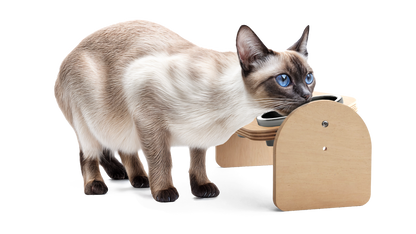 🐾 Almo Diner – Erhöhter Premium-Futternapf aus Holz für Katzen & Hunde