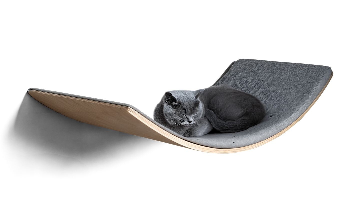 🐾 Loya Light– Premium Haustier-Liege für Katzen & kleine Hunde