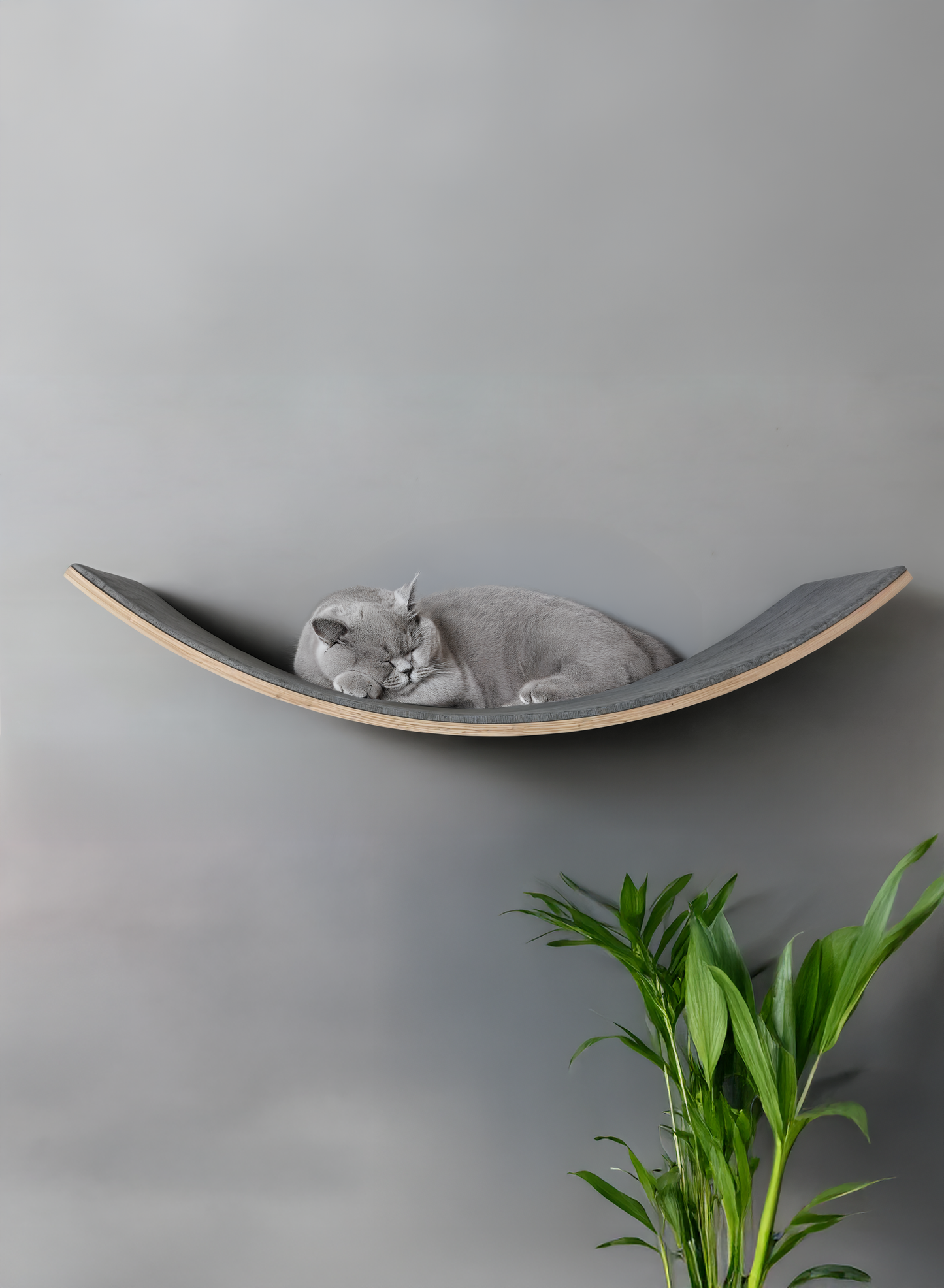 🐾 Loya Light– Premium Haustier-Liege für Katzen & kleine Hunde