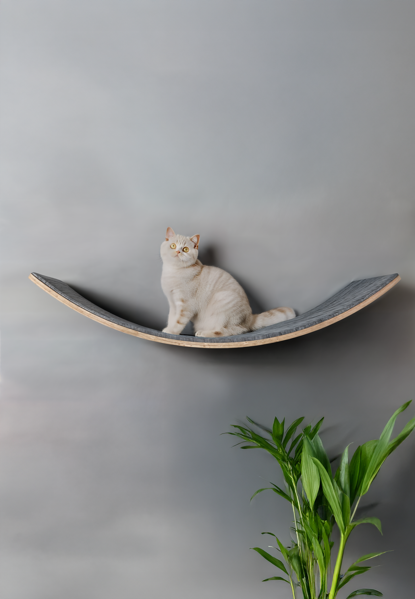 🐾 Loya Light– Premium Haustier-Liege für Katzen & kleine Hunde