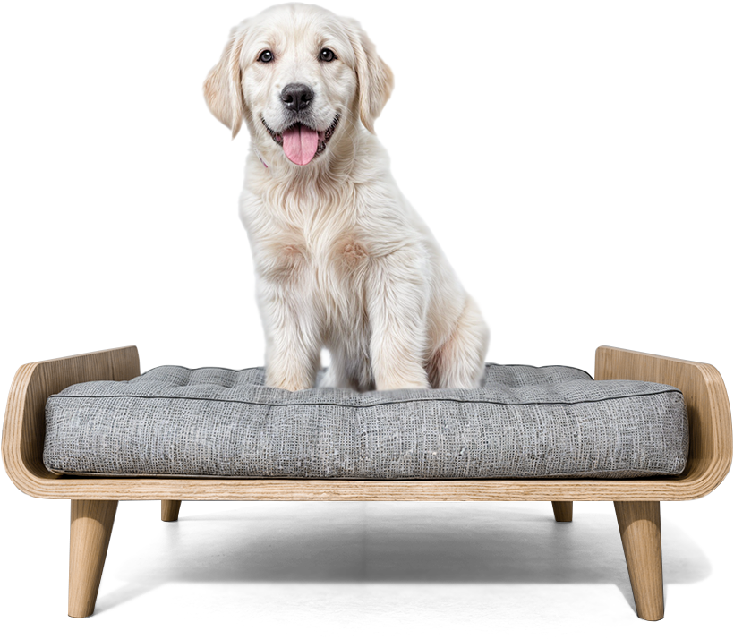 🐾 Almo Light – Premium Haustierbett für Hunde & Katzen in modernem Holzdesign