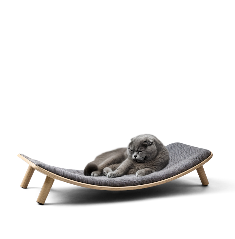 🐾 Loya Large – Premium Haustierbett für Katzen & kleine Hunde