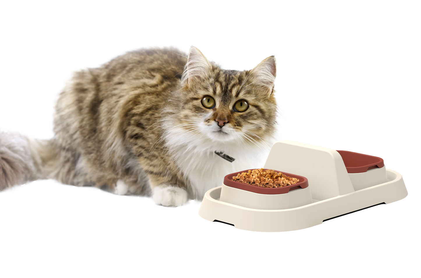 🐾 Lull Diner – Premium Doppel-Futternapf