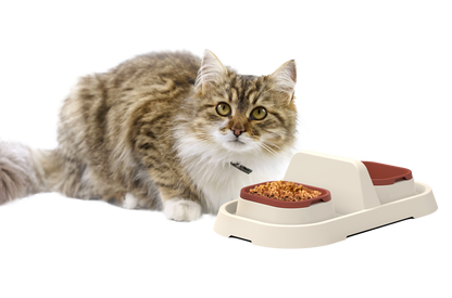 🐾 Lull Diner – Premium Doppel-Futternapf