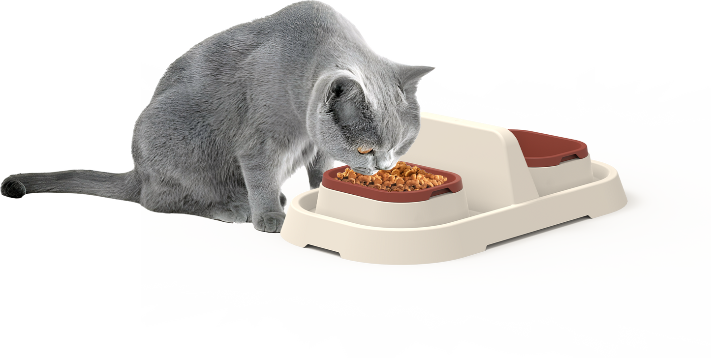 🐾 Lull Diner – Premium Doppel-Futternapf