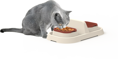 🐾 Lull Diner – Premium Doppel-Futternapf